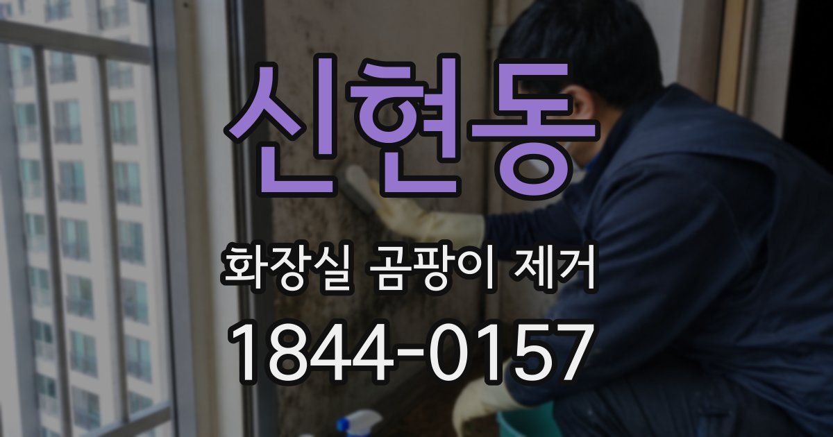 신현동 화장실 곰팡이 제거