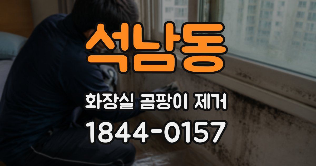 석남동 화장실 곰팡이 제거