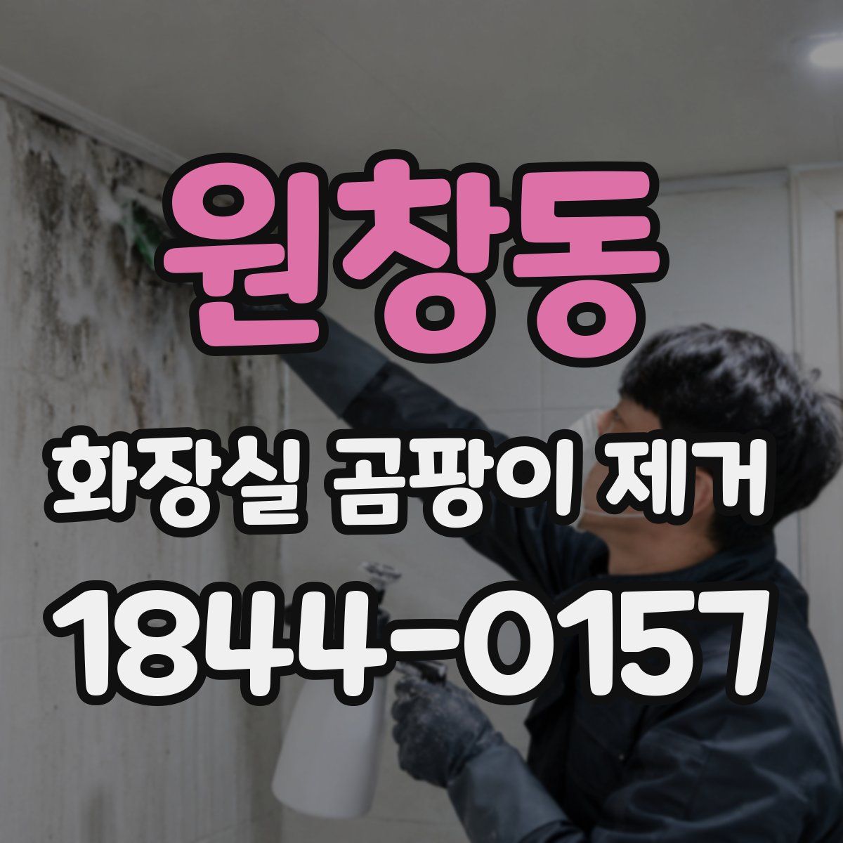원창동 화장실 곰팡이 제거