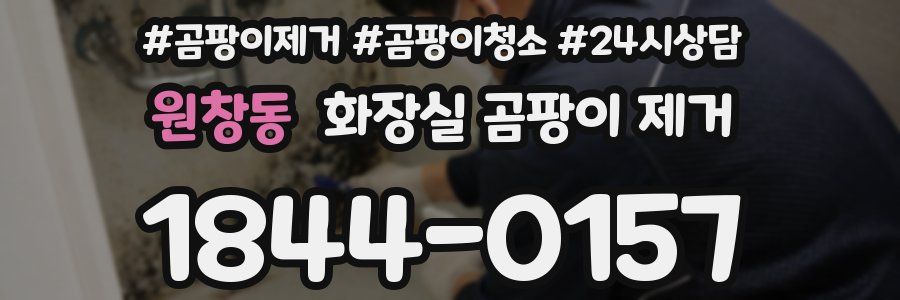 원창동 화장실 곰팡이 제거