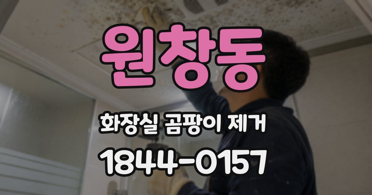 원창동 화장실 곰팡이 제거