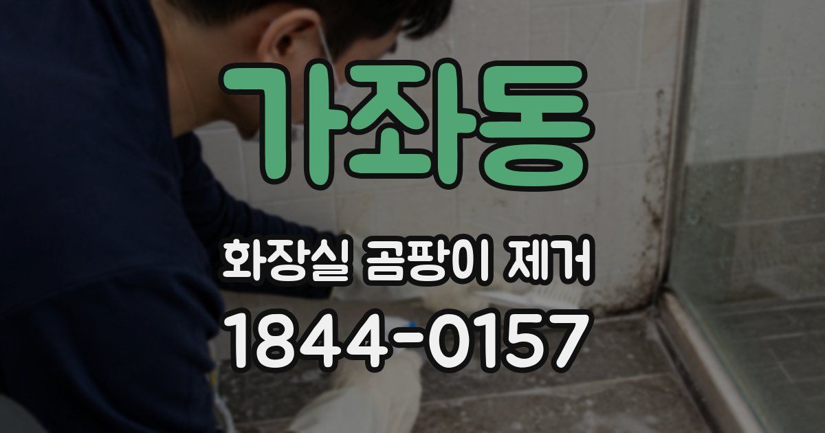 가좌동 화장실 곰팡이 제거