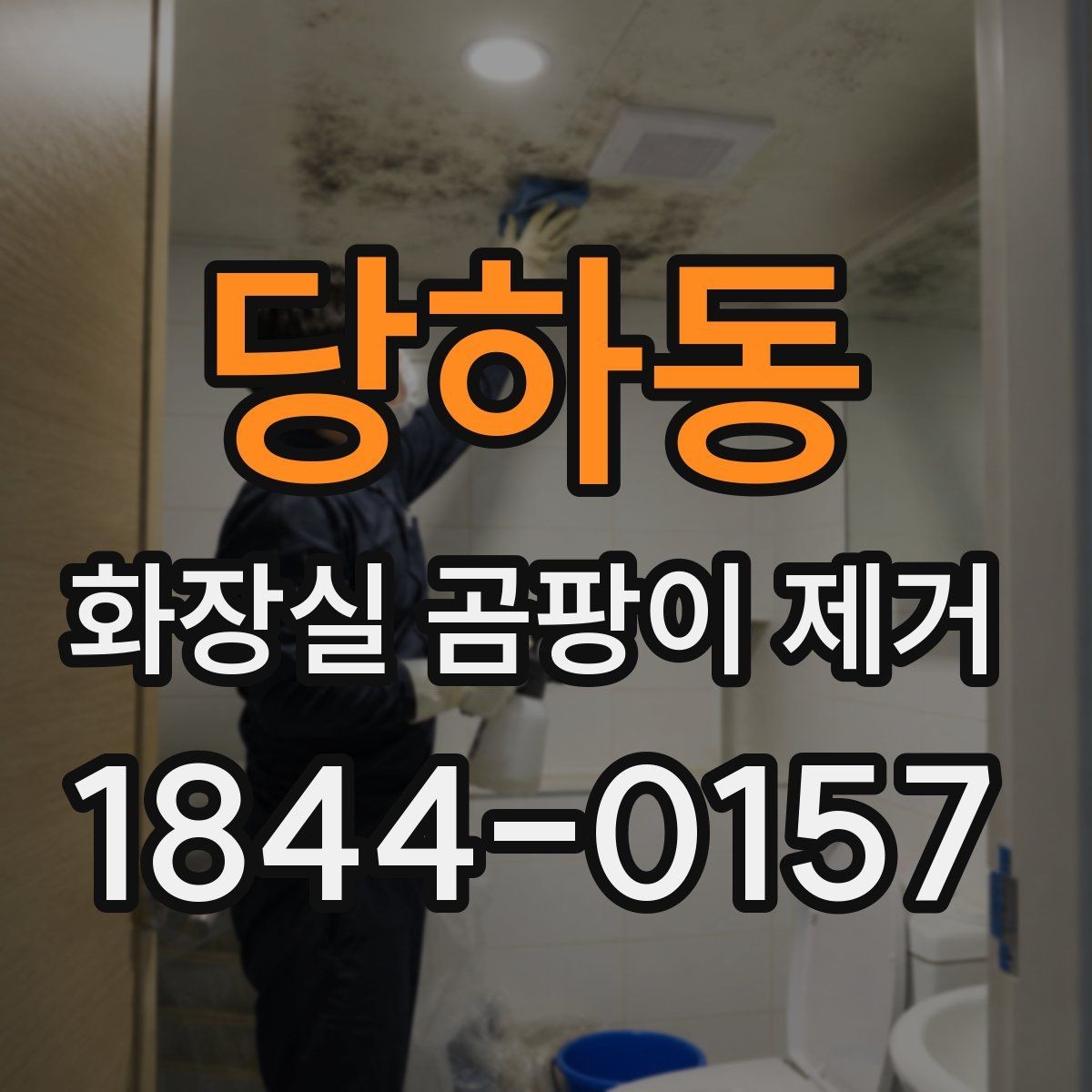 당하동 화장실 곰팡이 제거 락스 쓸 때 꼭 확인할 주의점