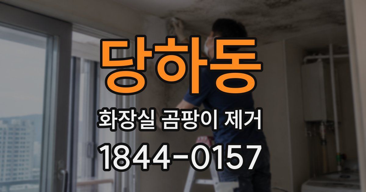 당하동 화장실 곰팡이 제거