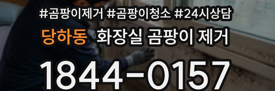 당하동 화장실 곰팡이 제거