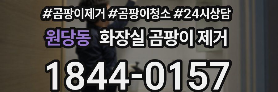 원당동 화장실 곰팡이 제거