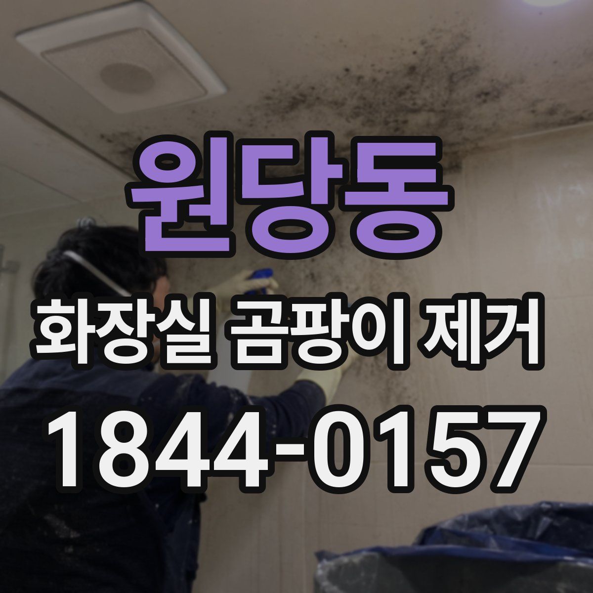 원당동 화장실 곰팡이 제거