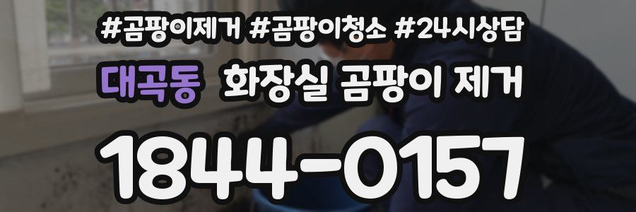 대곡동 화장실 곰팡이 제거