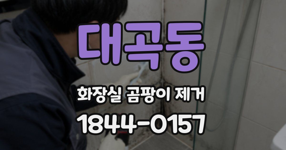 대곡동 화장실 곰팡이 제거