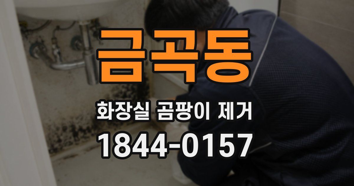 금곡동 화장실 곰팡이 제거