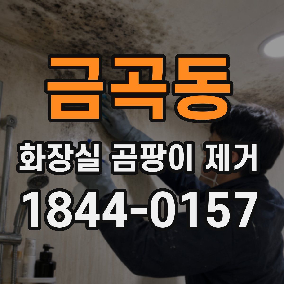 금곡동 화장실 곰팡이 제거
