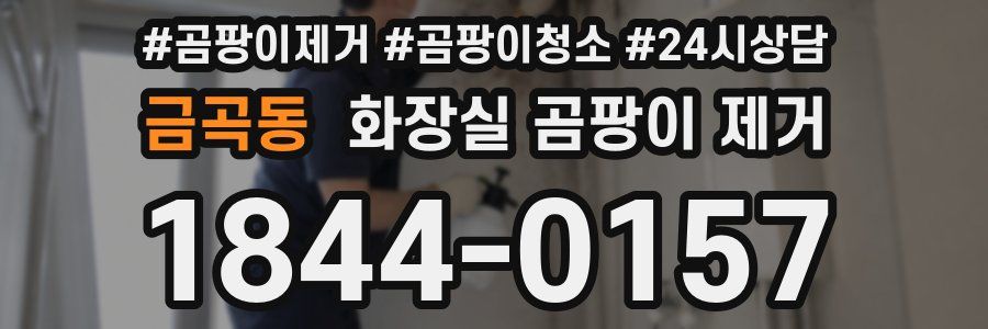 금곡동 화장실 곰팡이 제거