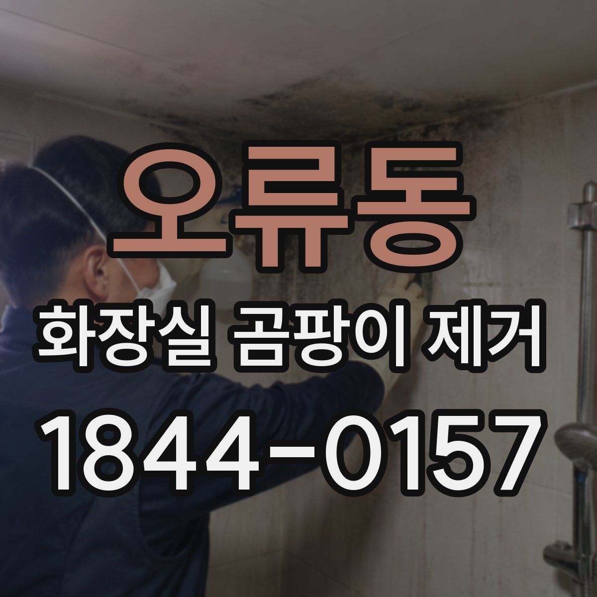 오류동 화장실 곰팡이 제거