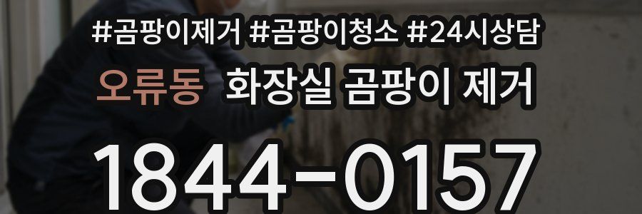오류동 화장실 곰팡이 제거