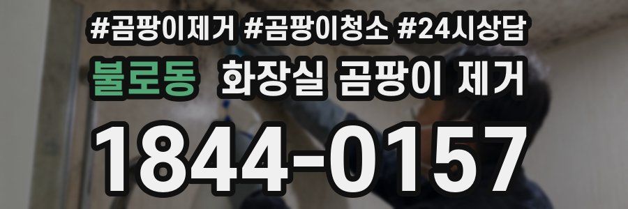 불로동 화장실 곰팡이 제거