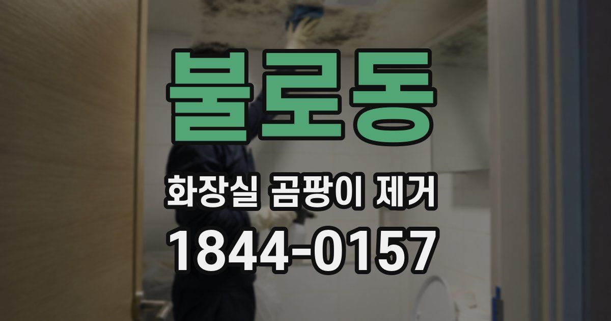 불로동 화장실 곰팡이 제거