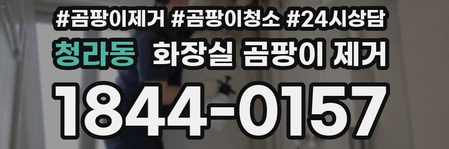 청라동 화장실 곰팡이 제거