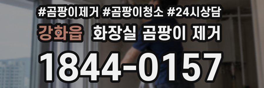 강화읍 화장실 곰팡이 제거
