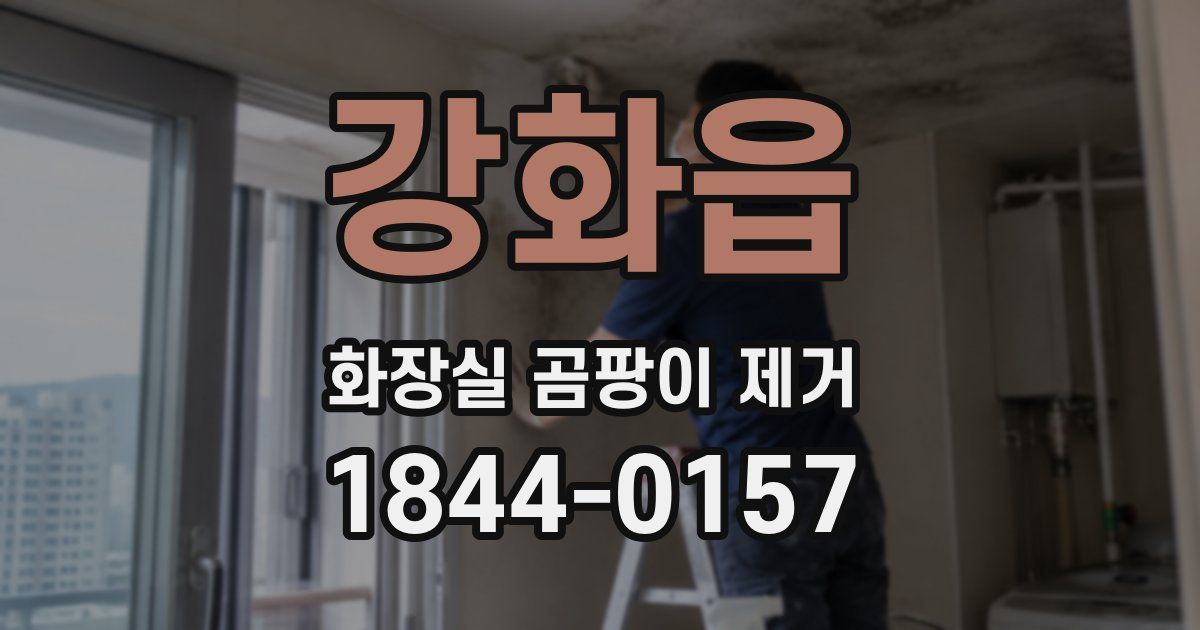 강화읍 화장실 곰팡이 제거