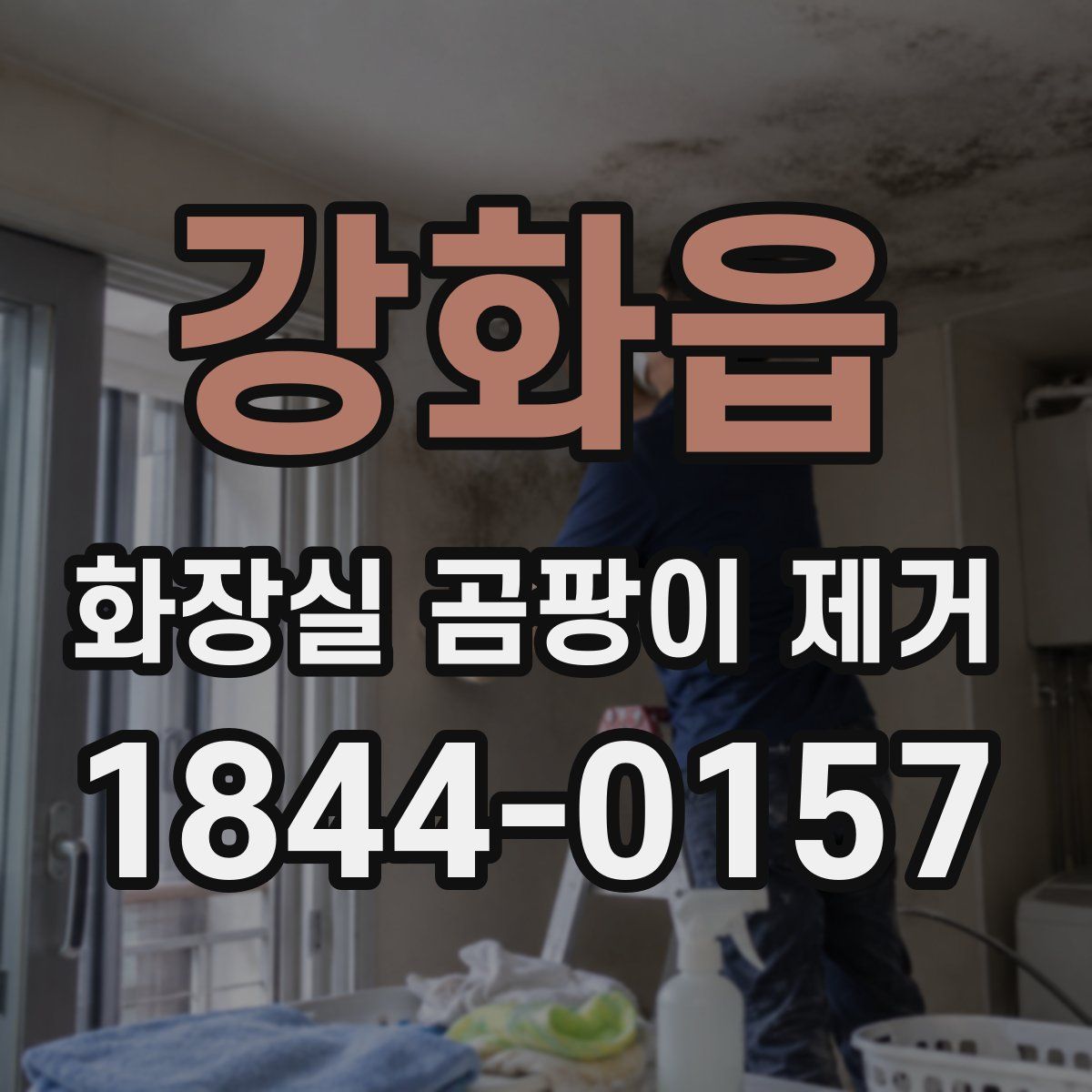 강화읍 화장실 곰팡이 제거