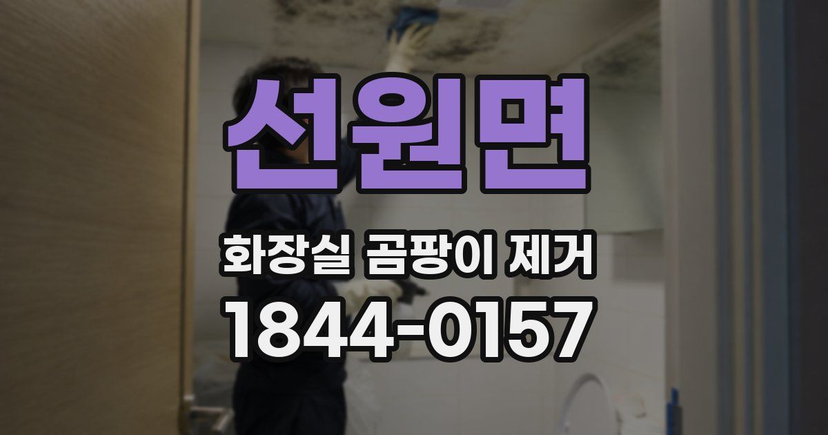 선원면 화장실 곰팡이 제거