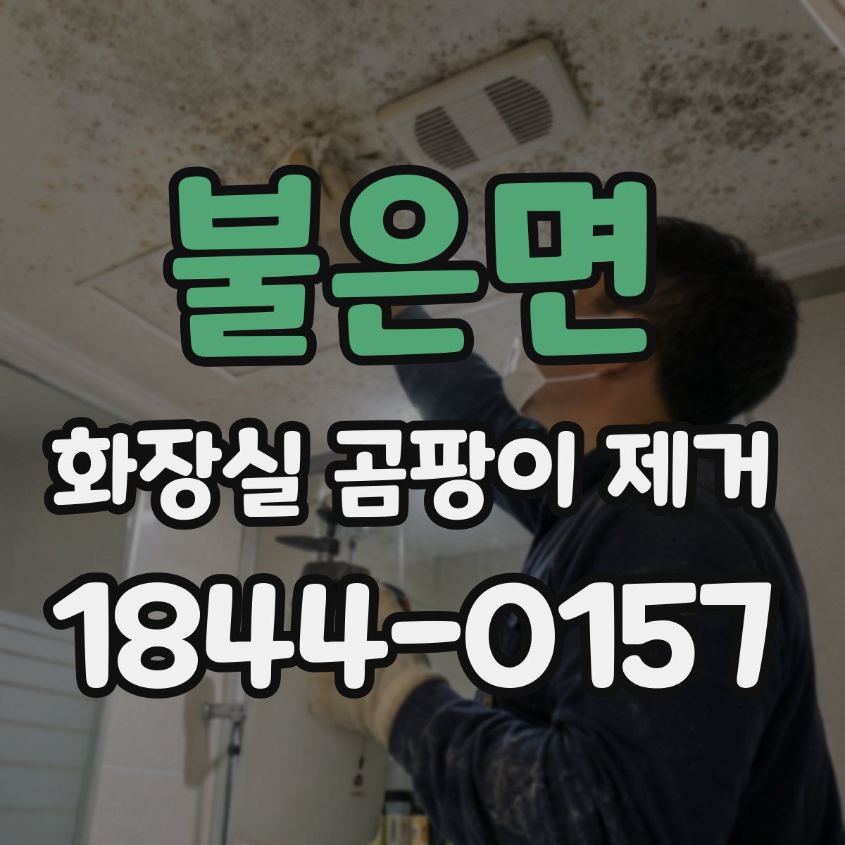 불은면 화장실 곰팡이 제거