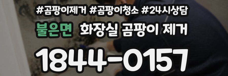 불은면 화장실 곰팡이 제거