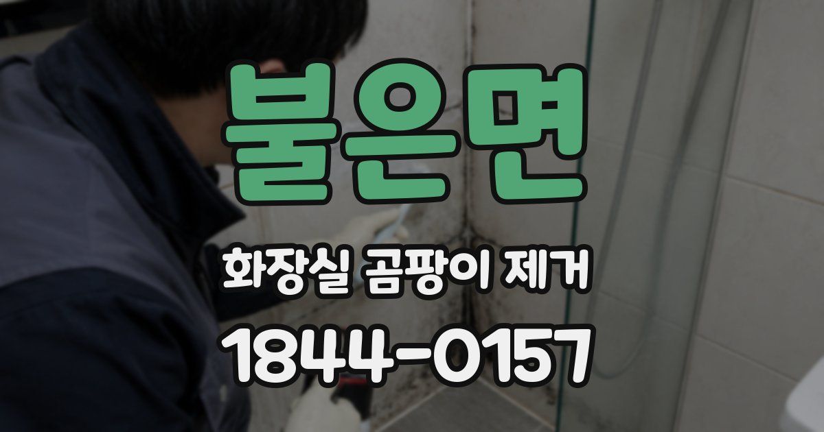 불은면 화장실 곰팡이 제거