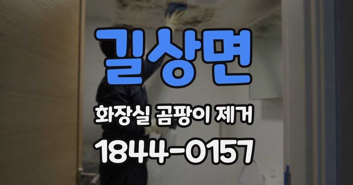길상면 화장실 곰팡이 제거