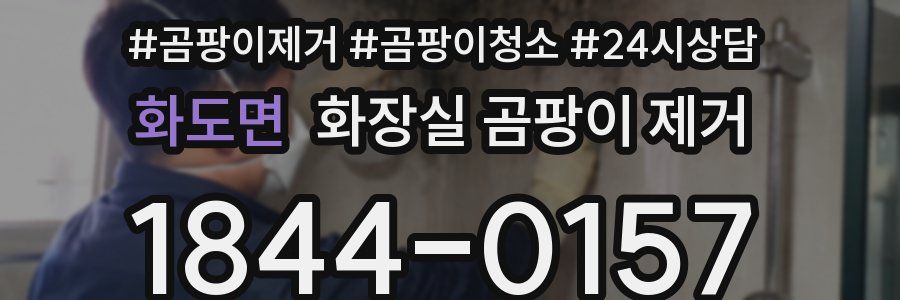 화도면 화장실 곰팡이 제거