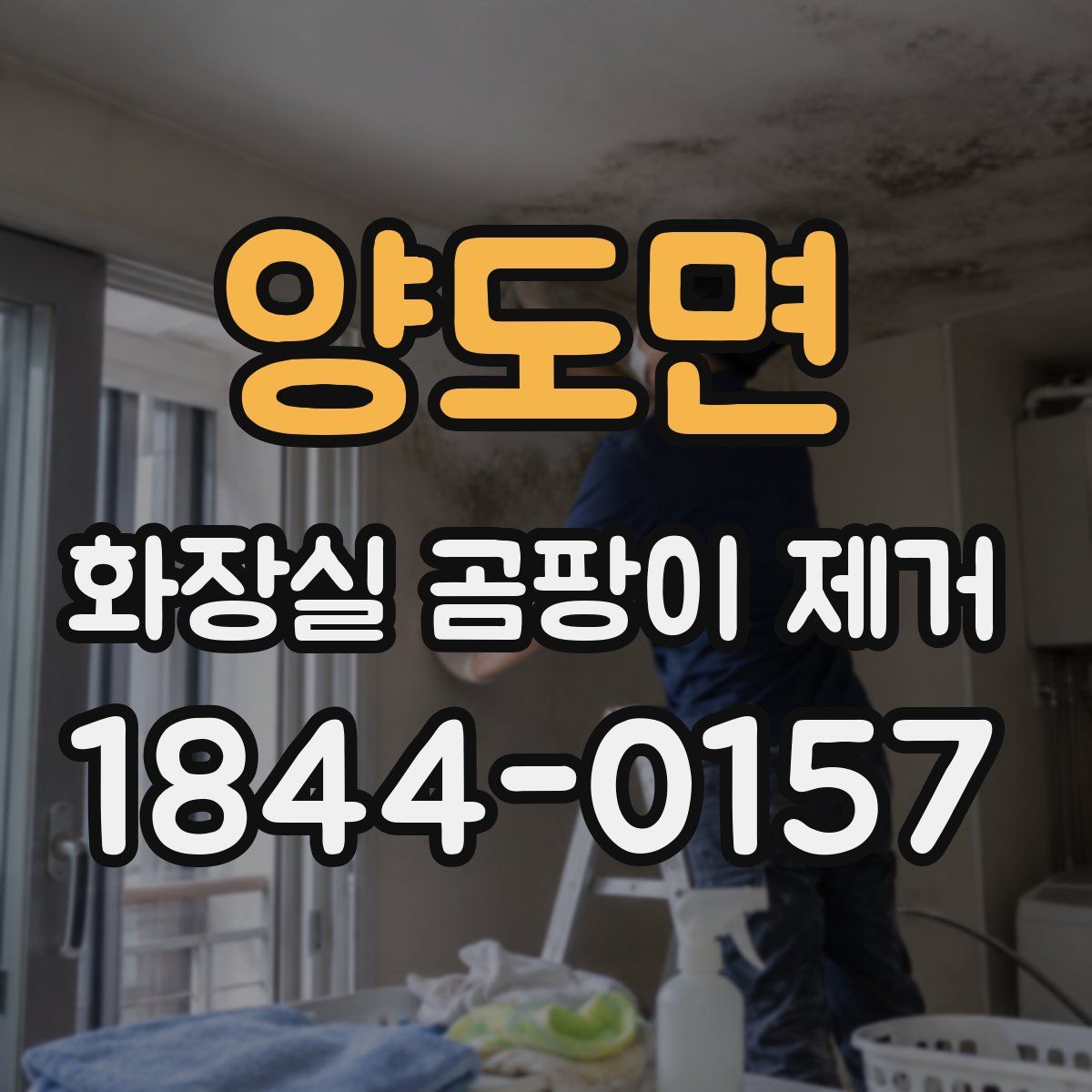 양도면 화장실 곰팡이 제거