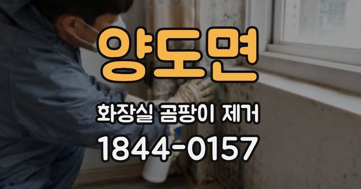 양도면 화장실 곰팡이 제거