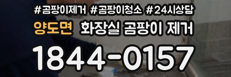 양도면 화장실 곰팡이 제거