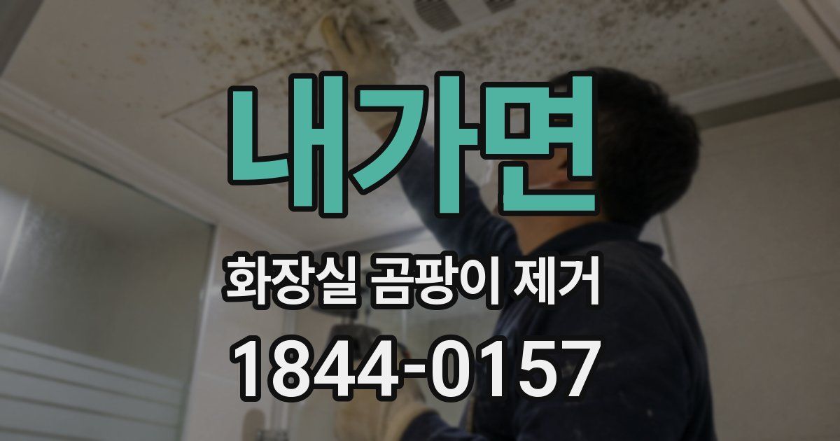 내가면 화장실 곰팡이 제거