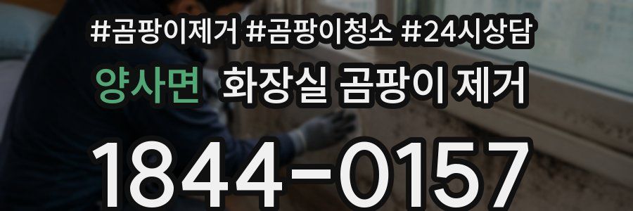 양사면 화장실 곰팡이 제거