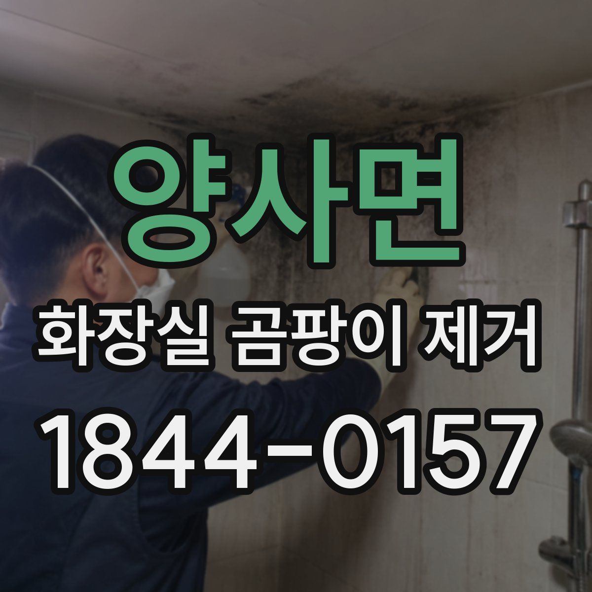 양사면 화장실 곰팡이 제거