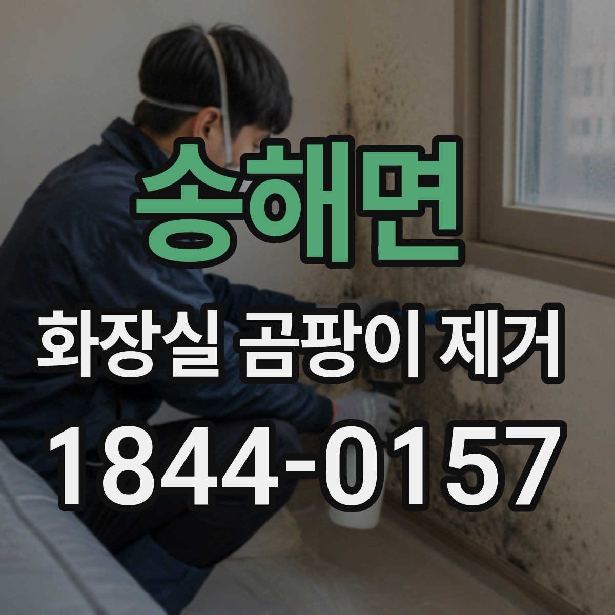 송해면 화장실 곰팡이 제거 아이와 반려동물 있는 집의 안전 수칙