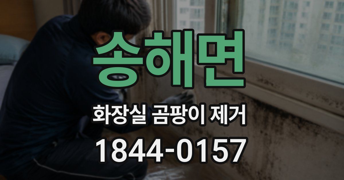 송해면 화장실 곰팡이 제거