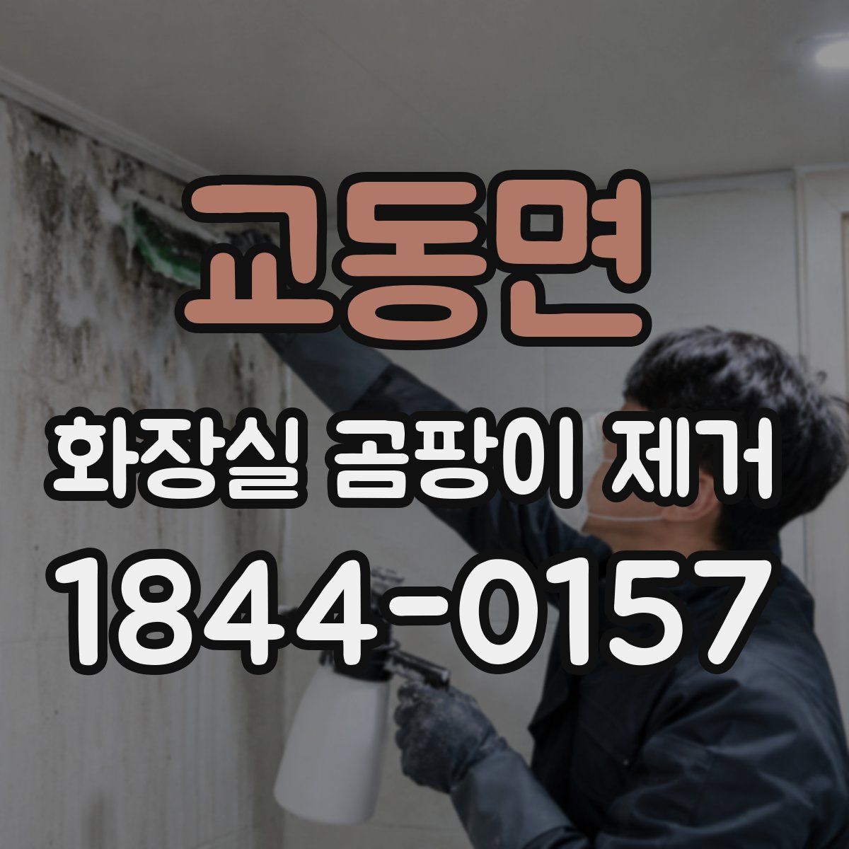 교동면 화장실 곰팡이 제거