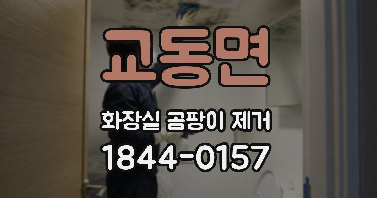 교동면 화장실 곰팡이 제거