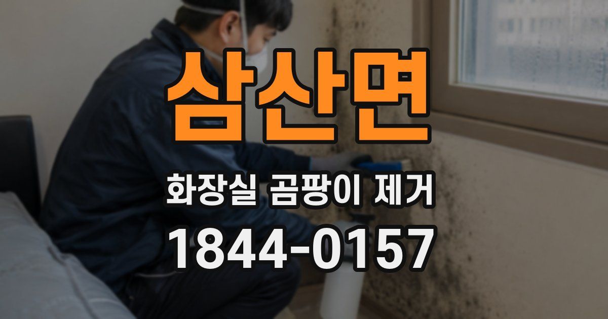 삼산면 화장실 곰팡이 제거
