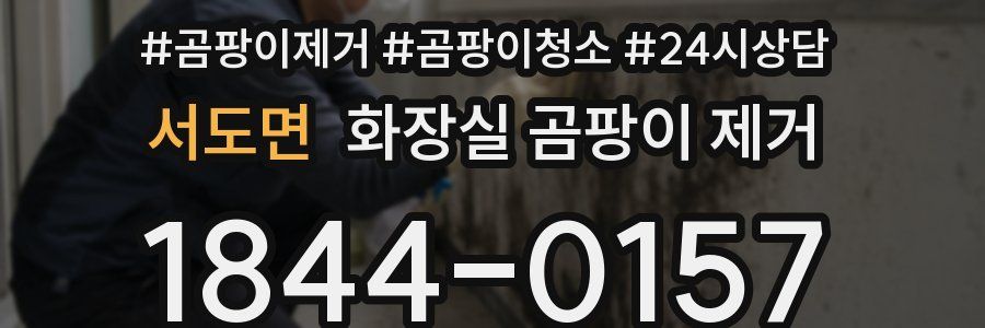 서도면 화장실 곰팡이 제거