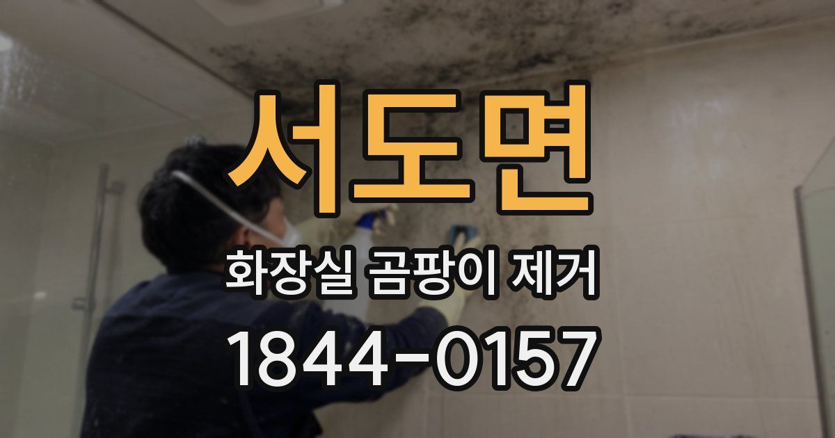 서도면 화장실 곰팡이 제거