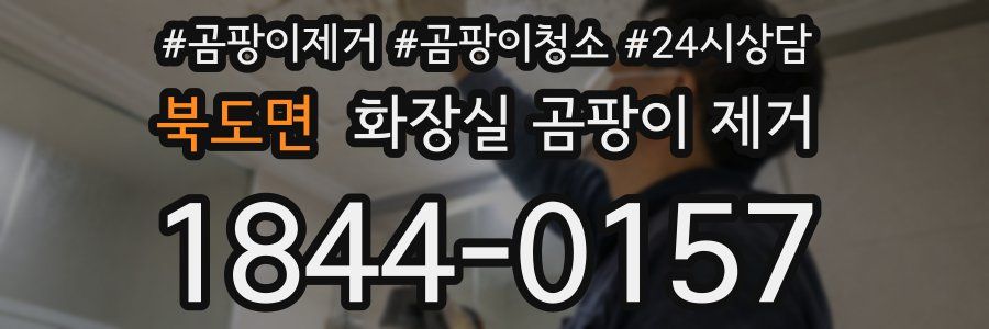 북도면 화장실 곰팡이 제거