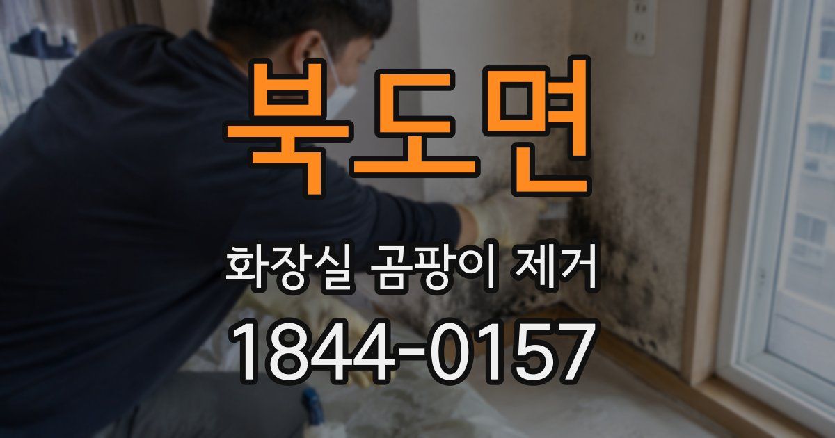 북도면 화장실 곰팡이 제거