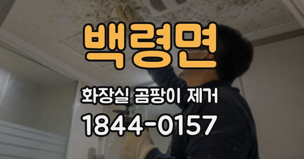 백령면 화장실 곰팡이 제거