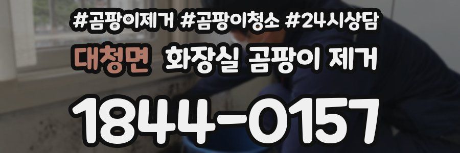 대청면 화장실 곰팡이 제거