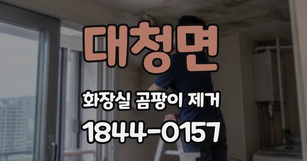 대청면 화장실 곰팡이 제거
