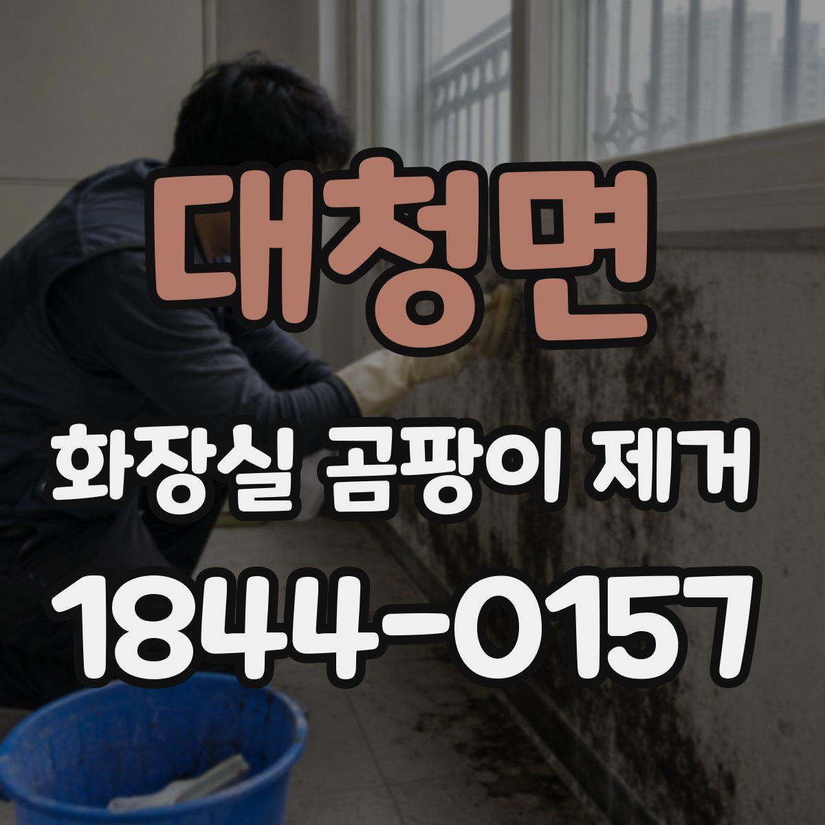 대청면 화장실 곰팡이 제거
