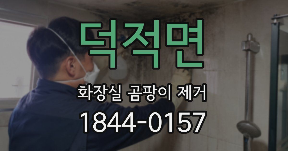 덕적면 화장실 곰팡이 제거